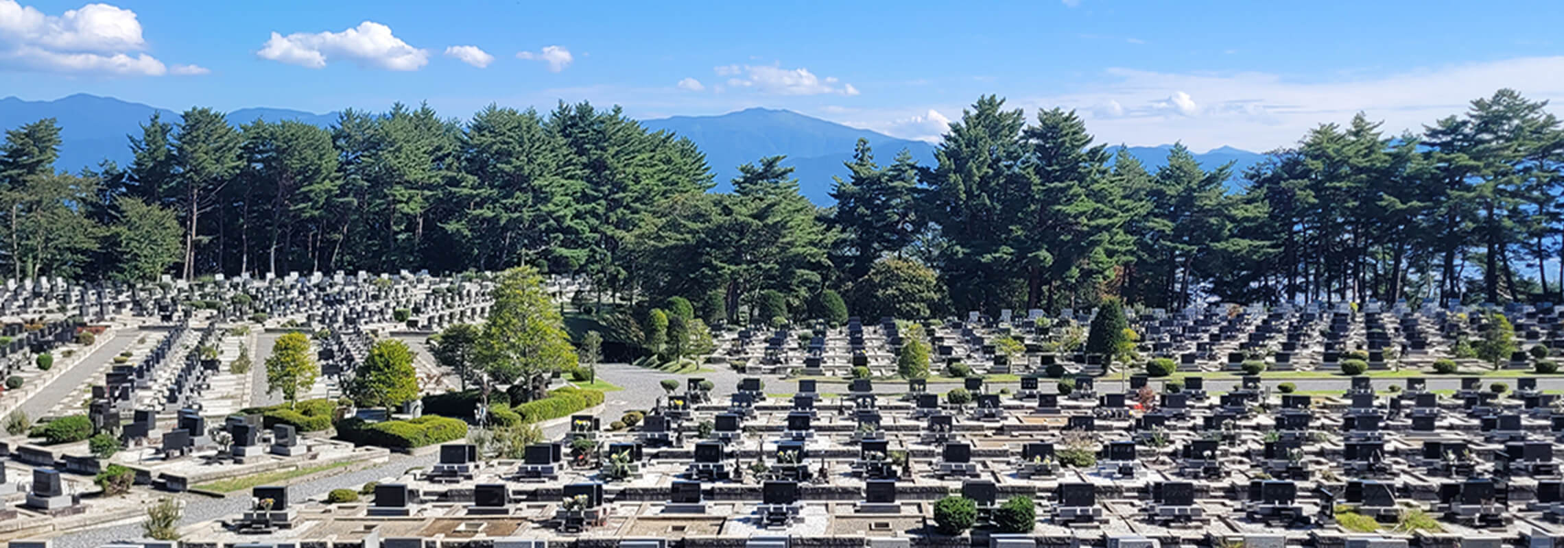 当園の概要